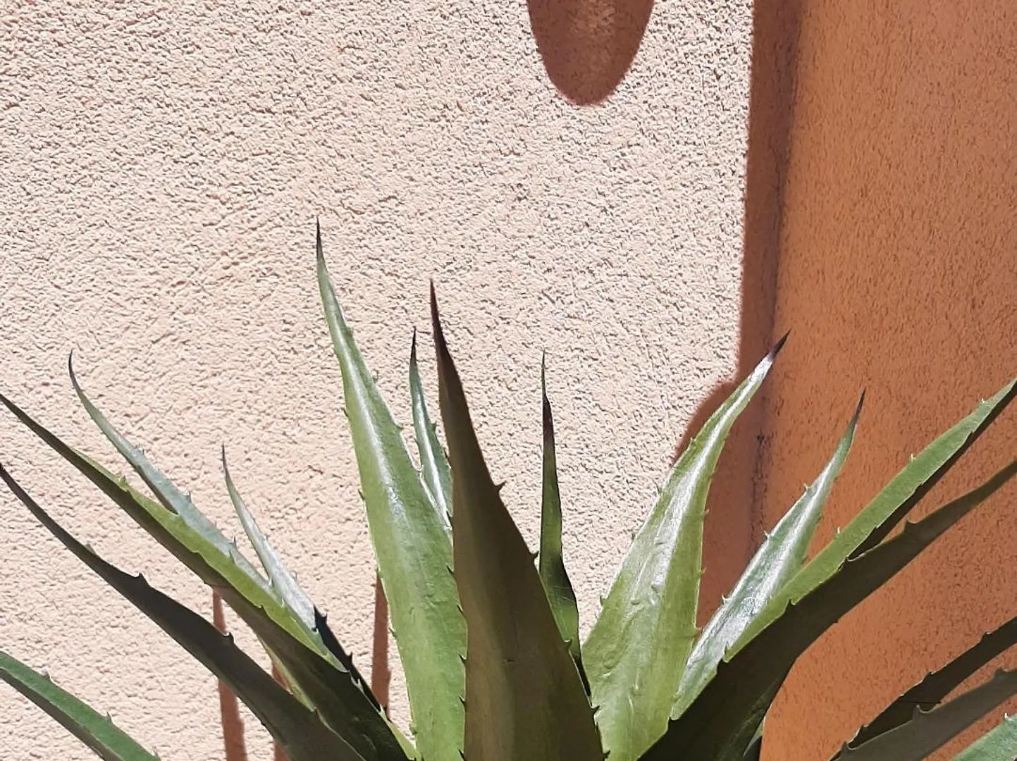 Apartment Decumana Krk Town